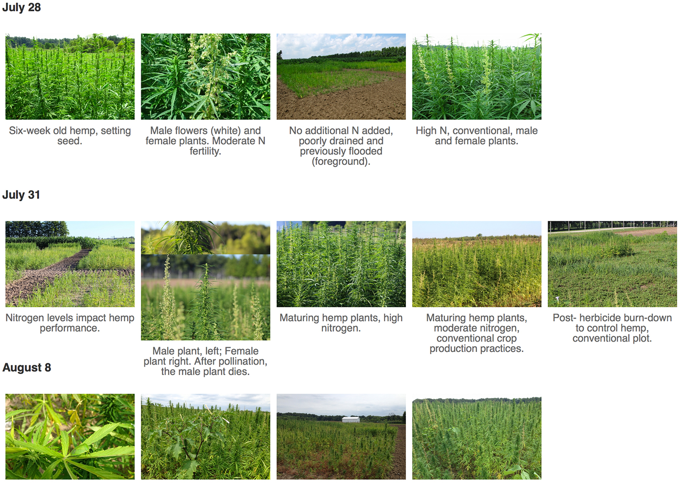 © 2015 purdue hemp project | Purdue university